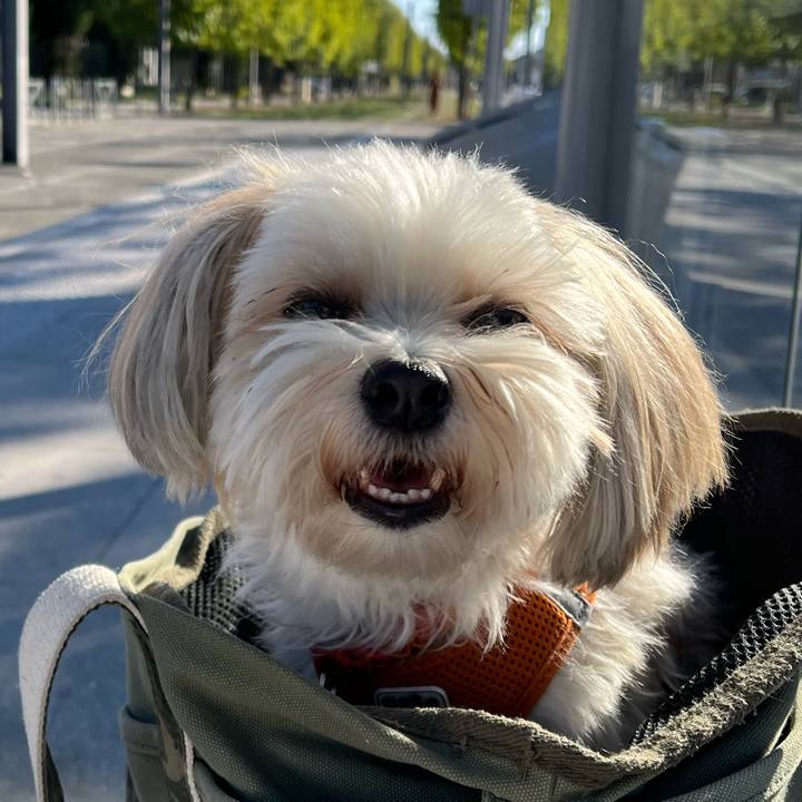 F0f923bd 98bb 4bef bc43 f467ffd0aed9 1758947211689