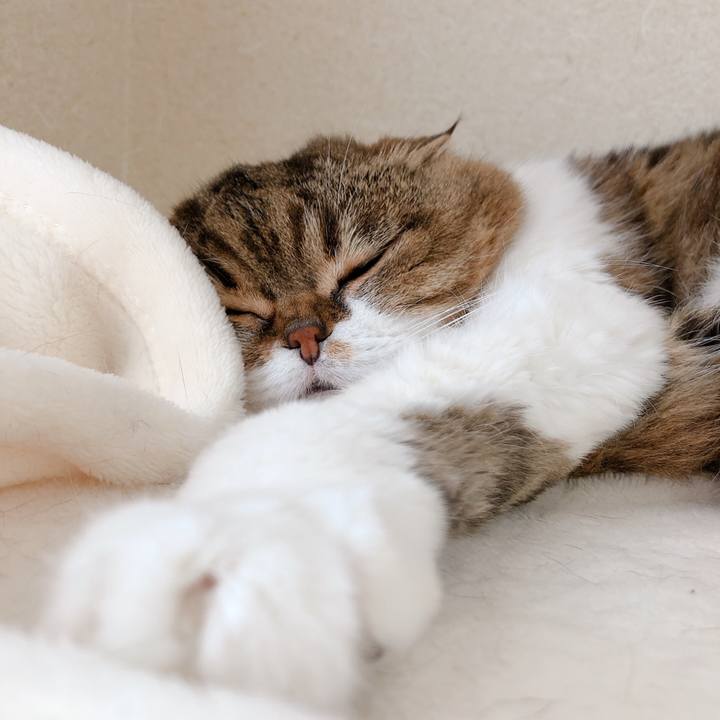 F0f94221 42ae 4174 b2f4 b6ca90fd6bb3 1588775540179