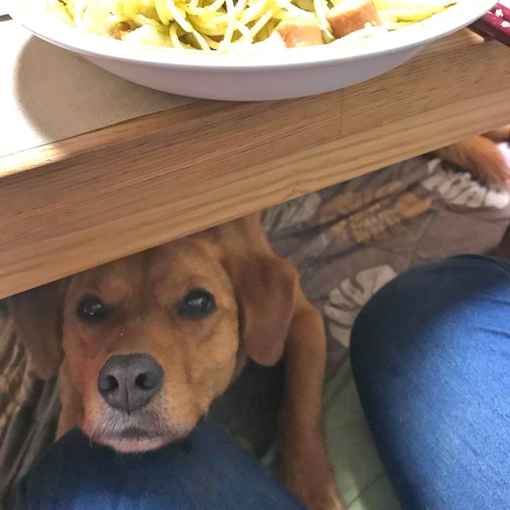 F0f950d8 c733 4b12 828d 0b3cbebc3348 1526735240661