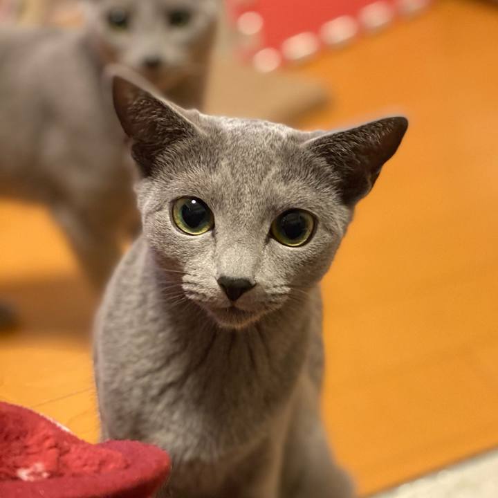 F0f96885 dce3 426d b85a 5bb6dff765d0 1610458652994