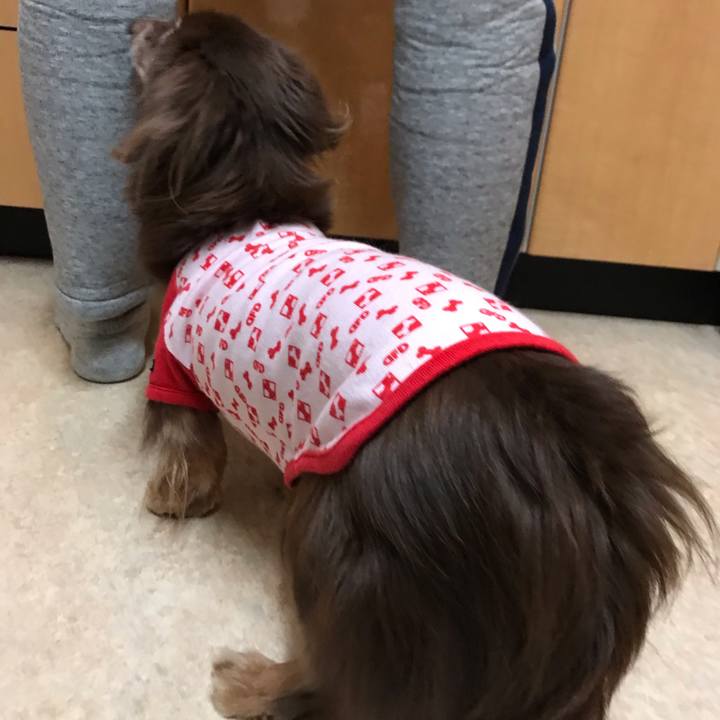 F0f96c95 6f1f 4492 826b 0214d767cc7b 1544102484819