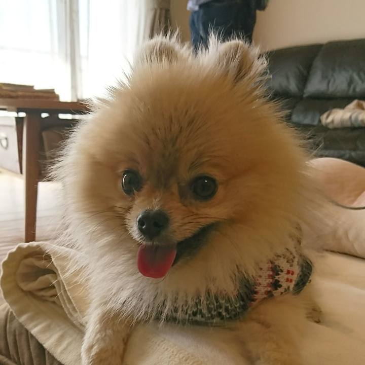 F0f994f5 cc04 4e28 a1d5 d43607541fbb 1549772900623