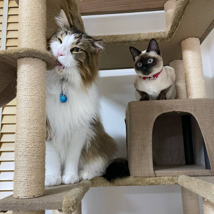 F0f9a77c ca4d 4941 b3d3 32dfa1e6c993 1710099320611