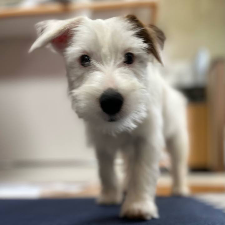 F0f9aaa9 8bf0 4d30 bdd1 eaa4522c61c5 1702113820475