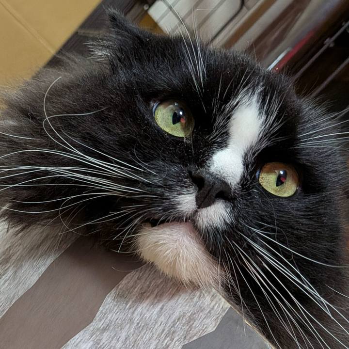 F0f9d82c d51b 4b07 b954 cc9910dded66 1791119497643