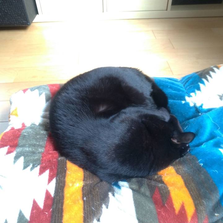 F0f9e04c ae38 4b9e 9cd2 e5b2c4472930 1556444340051