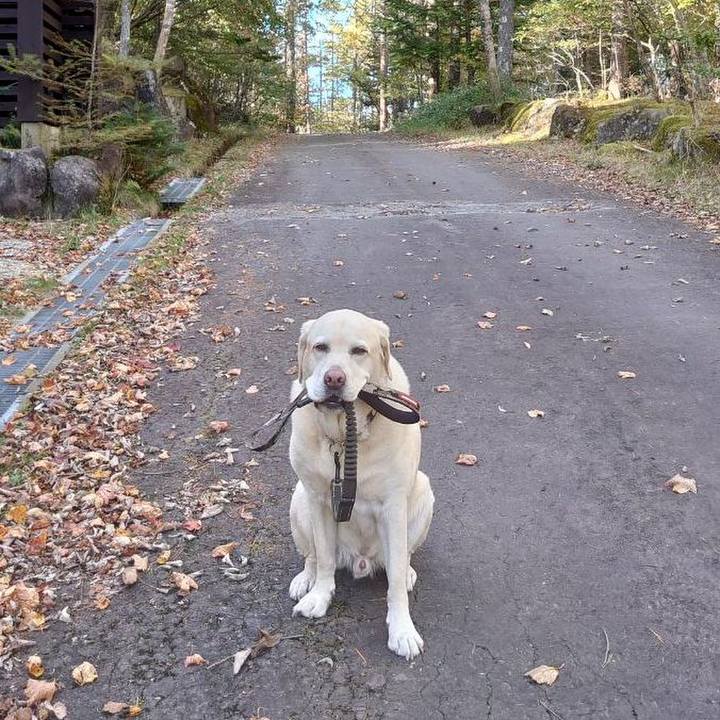 F0f9e260 6569 480f a0e9 c18ce115bb7e 1729592095836