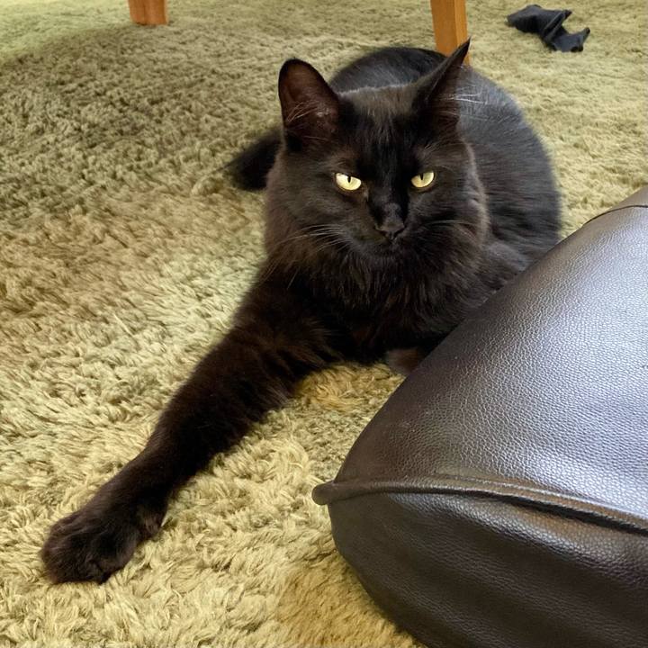 F0fa246c c2c7 41fb b3b3 f6f91374e1e0 1752548348432