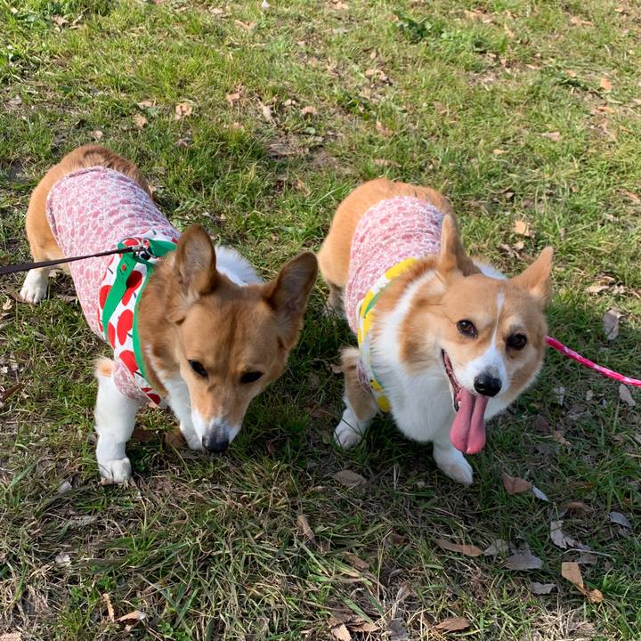 F0fa27f5 7bb1 4066 ba47 19c10aea3112 1583044649840