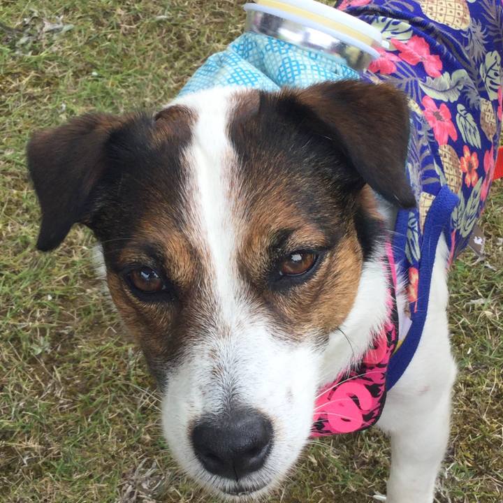 F0fa3e92 fbd7 446b 878f 476e8e7b6dd9 1558868016239