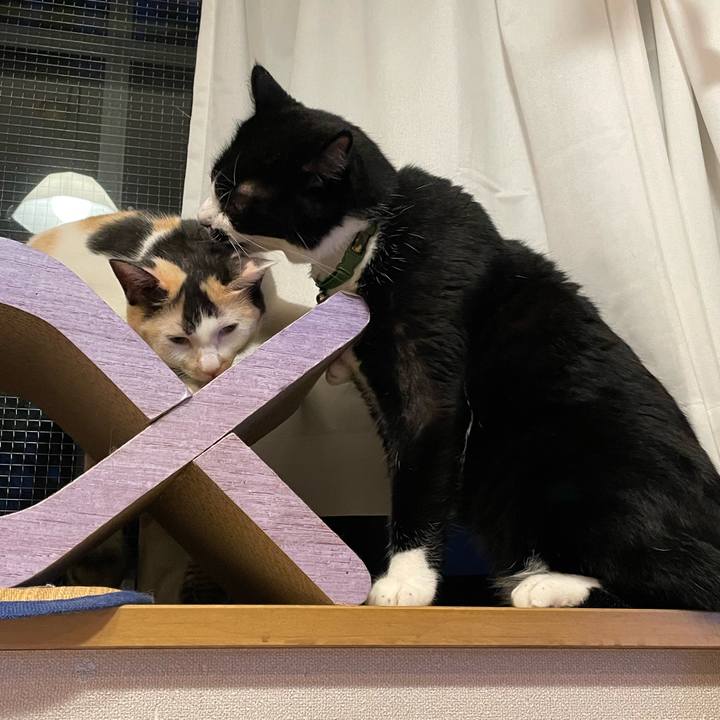 F0fa4532 7213 4a2b 83b3 8a37bcfb688a 1694424683571