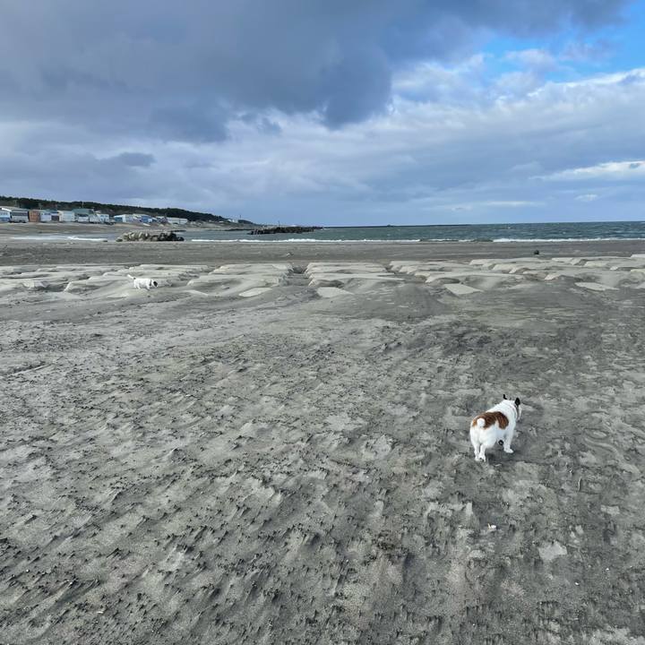 F0fa538e 100d 49f7 a6de f8604c4eaa2e 1745972667935