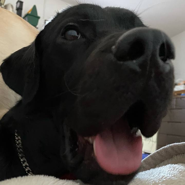 F0fa5f71 8e13 4257 9b24 22cd975ab5e6 1623107097639