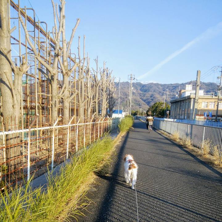 F0fb2a51 d834 45df 8b30 21e6f7a3226f 1546849225602