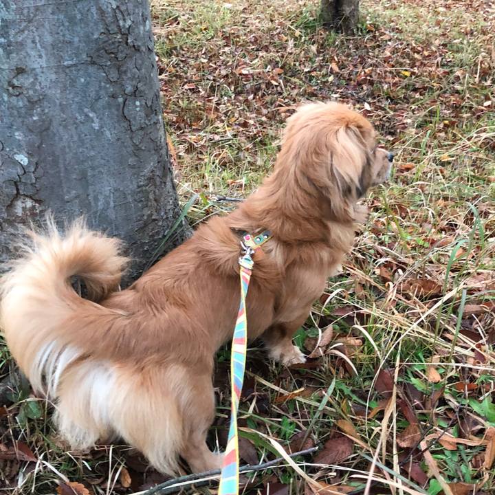 F0fb2b59 dab3 4ace b79a 3f5fa3fb3b06 1510868301876