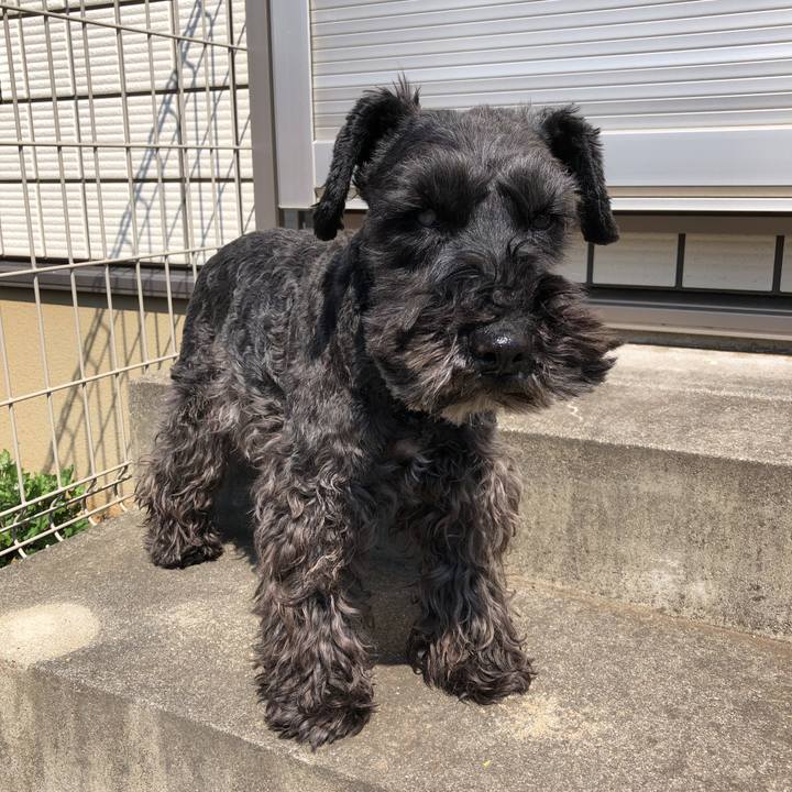 F0fb8f34 b007 41bd b0dc e7b2ec573266 1585960318951