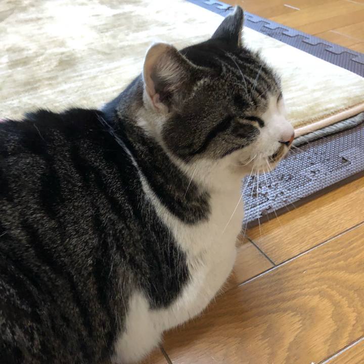 F0fb9f3c 600b 4211 96cc 039c80aa3982 1548832458601