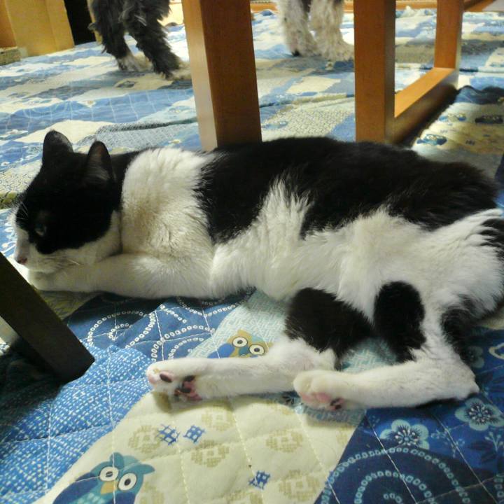 F0fbb088 160b 4ce6 8b7c f61c0a198942 1580810781585