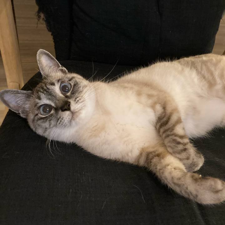 F0fbc362 7e38 4d98 b978 6dc8c71922da 1652964186608