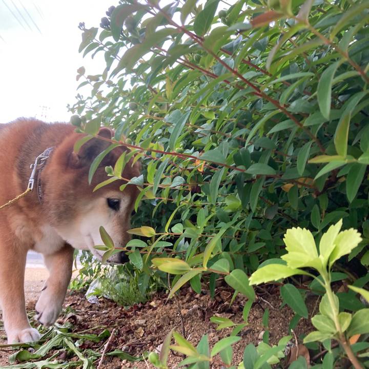 F0fbd9fd 8783 44a1 8a11 d47c1512b4b1 1651917190693