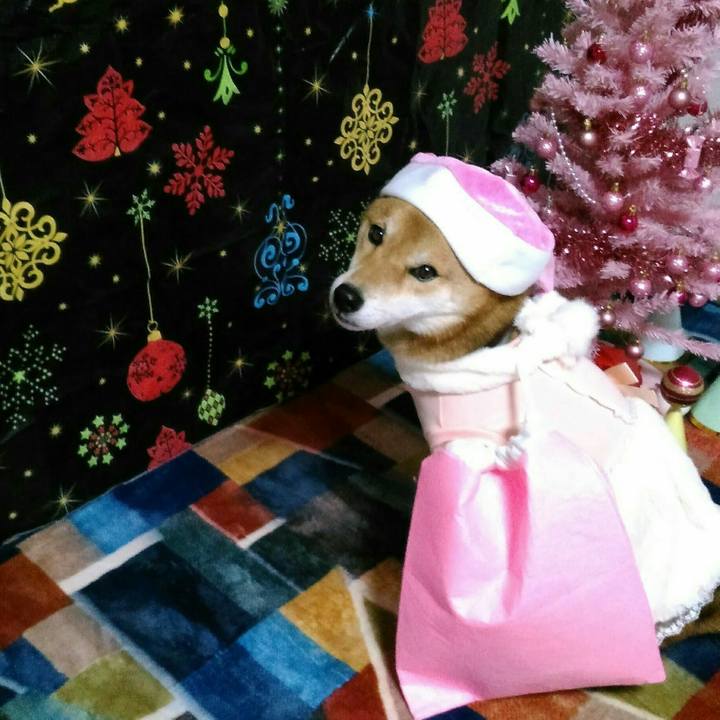 F0fbf851 276c 4758 be33 8f8ccd6964ae 1545550930224