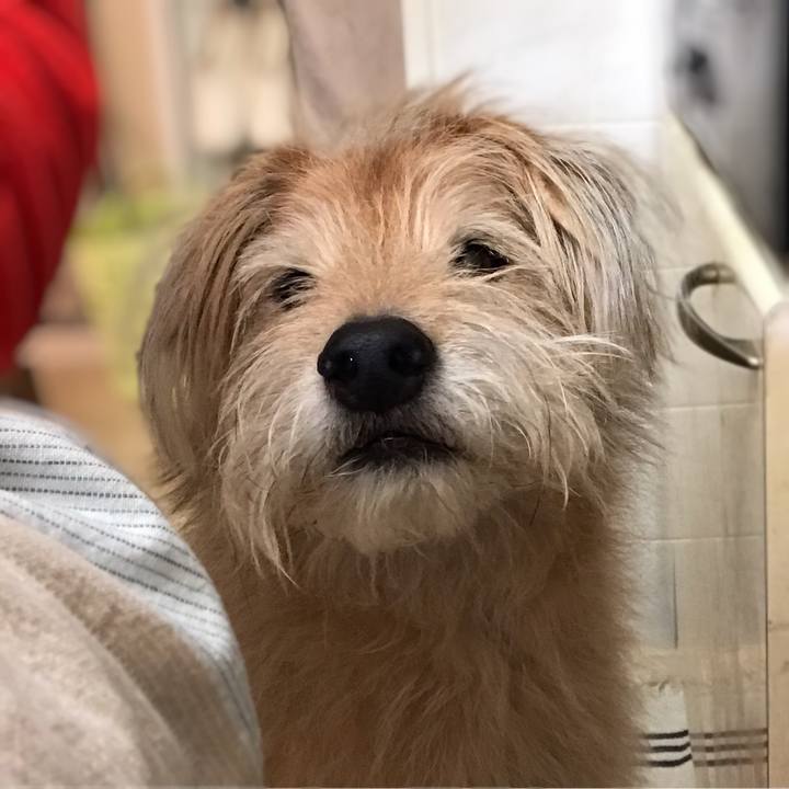 F0fc10a9 4de6 4f9d 9e60 a1cfbe8fefd0 1608770451259