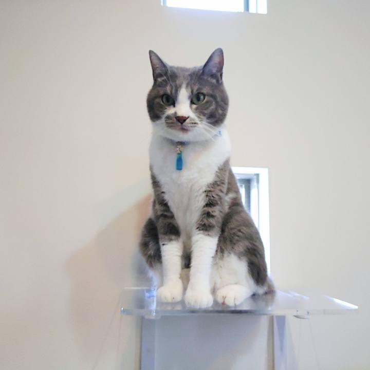 F0fc42d2 aa50 4112 bc92 8ffa2d2d5dd7 1723617717267