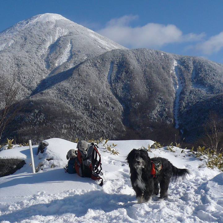 F0fc6368 a8e1 4f5b b601 1ae208694e63 1547026079122