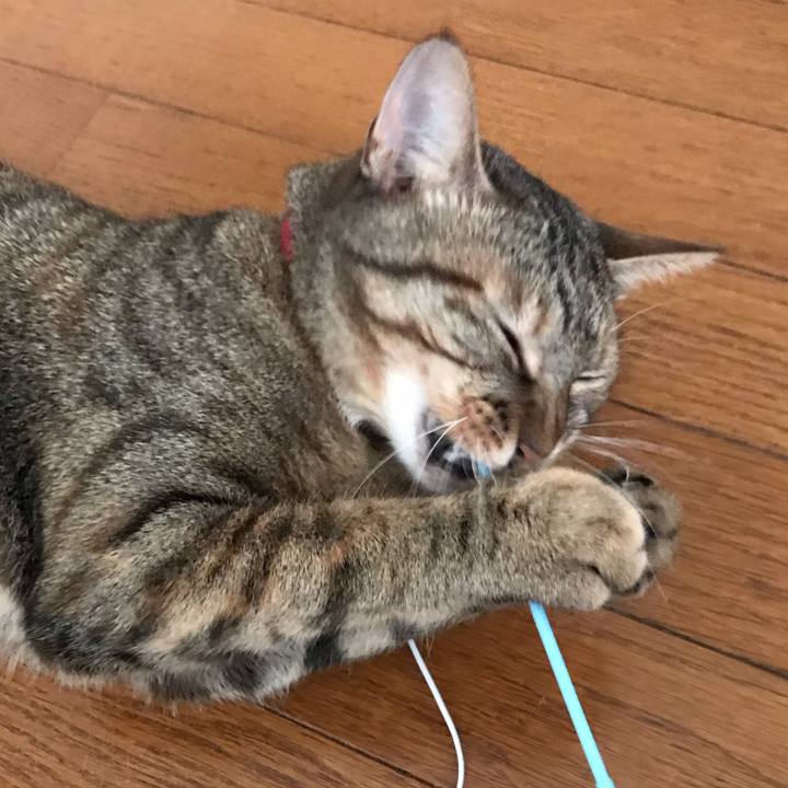 F0fc856e 862d 402a a2b9 bfb396b35e63 1593913635917