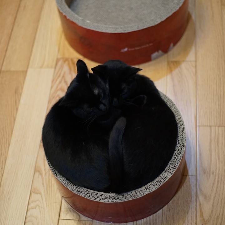 F0fcd828 9de5 42fd a6f9 7e98aeff37e5 1524198918673