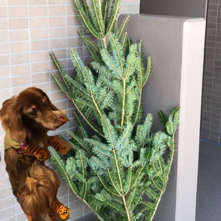 F0fcdf90 414e 4518 a90c a3ba5b999de9 1606005739386