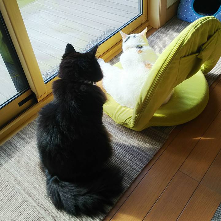 F0fcf229 f823 418f ad6e ee201eaca655 1546568400062