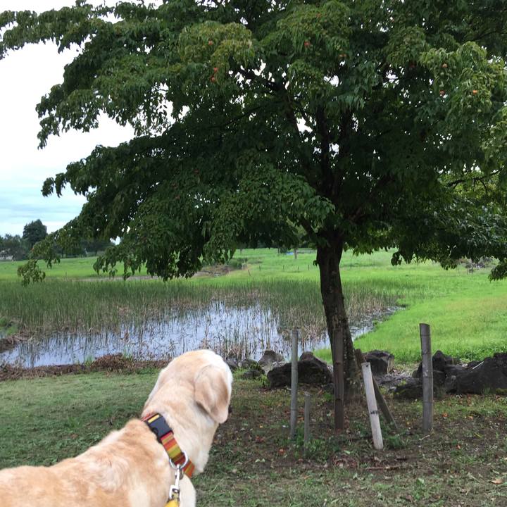 F0fd09c0 0fe6 43f8 a253 a48c422eaadf 1536741853375