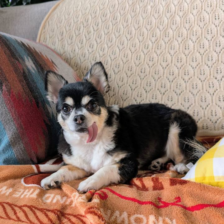 F0fd822b e921 45fa 843e 4db8a2265c94 1773531501256