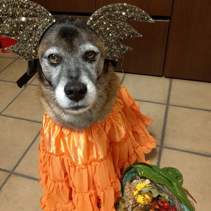 F0fdb68f 0e24 466e bd8e 53fc287e25ad 1604107595976