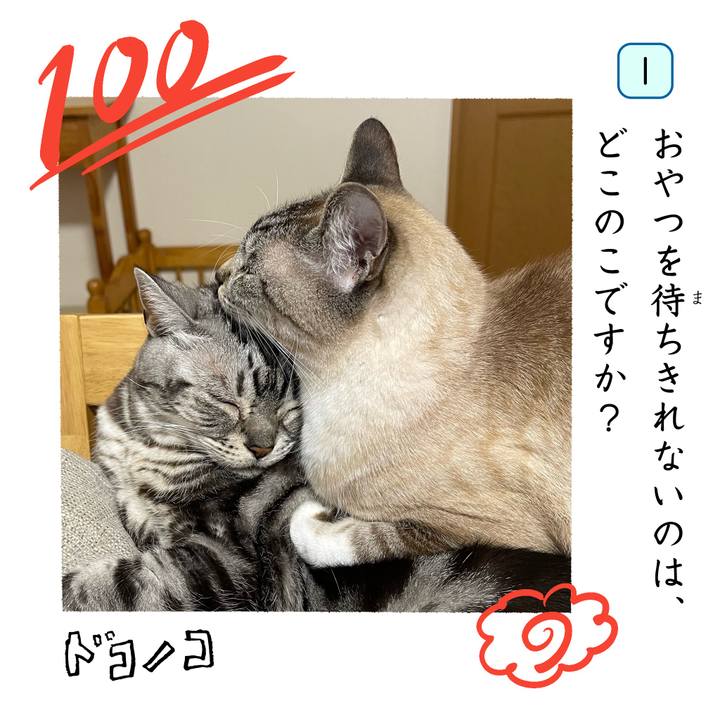 F0fdc1b0 bf07 4e50 9006 04c4ce412383 1744257303714