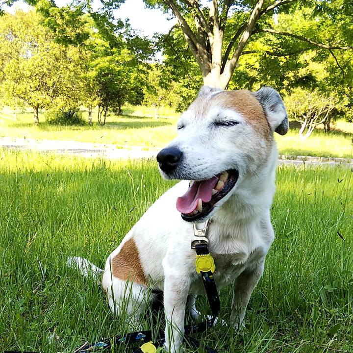 F0fdcb3e 7d98 4aed 92d5 2904bf058ea9 1557563870078