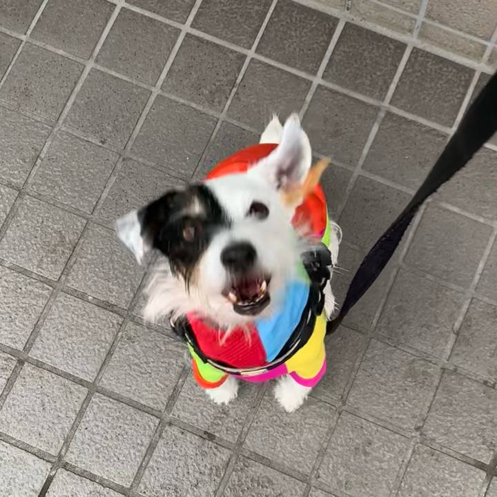 F0fdf446 5439 4492 9e0b f48e2395a804 1732064327431