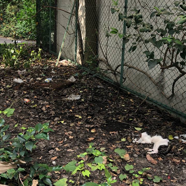 F0fdfcbd 81b9 4688 8e69 b52db7ce9260 1565554718538