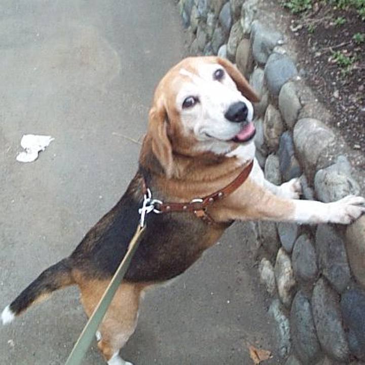 F0fe0da3 b435 4b04 b704 85bf7ceb4c9c 1638143680040