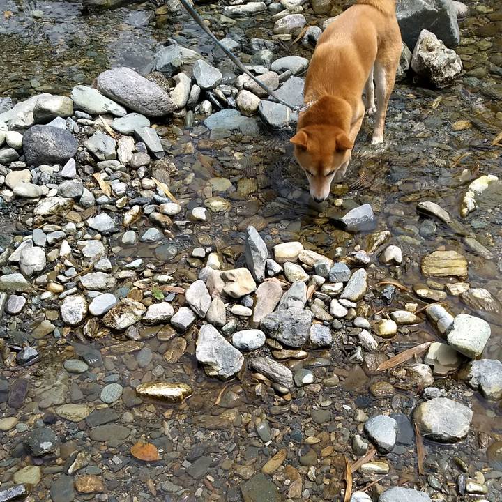 F0fe357a de35 44cb a651 26adb062003c 1527230127360