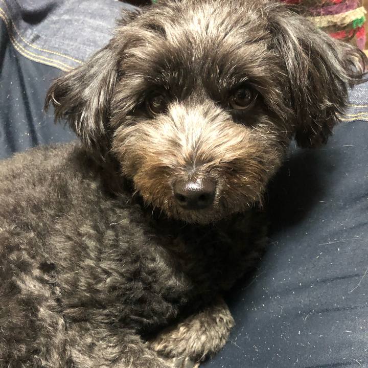 F0fe5f44 f28f 4a26 b369 8f6a8583ada8 1544526437608