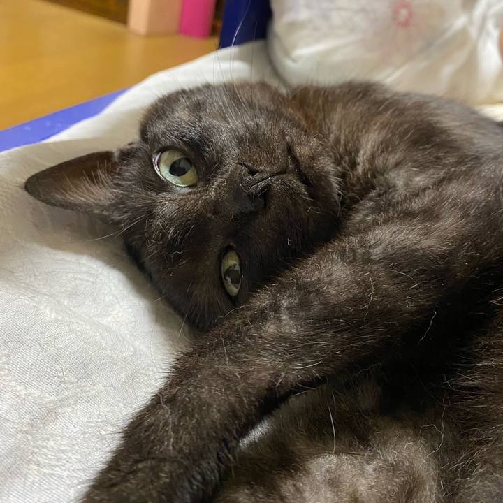 F0fe698c 6f31 4e86 91b6 733639f29f71 1659071309471