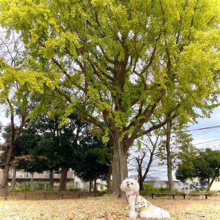 F0fe7ce9 6657 488a 8403 d54b6d3800bc 1637295668290