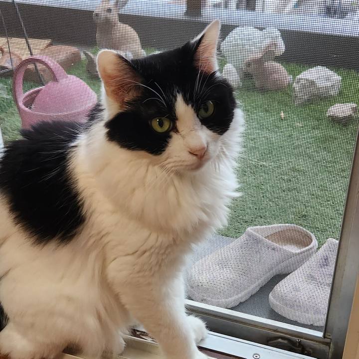 F0fec71f a5e5 4aca 8832 0ffb490b49d8 1695856455505