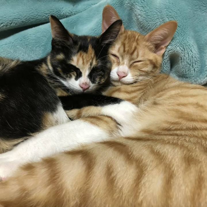 F0fee047 7c64 4f41 b41e 1ae6634e644d 1545472897143