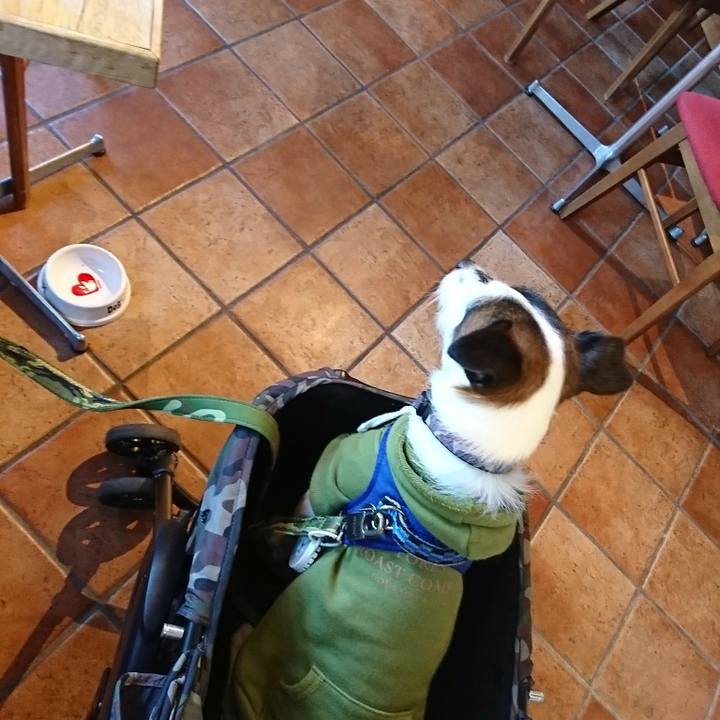 F0feeba9 0136 49f9 879e 98b17a23609c 1512535930412