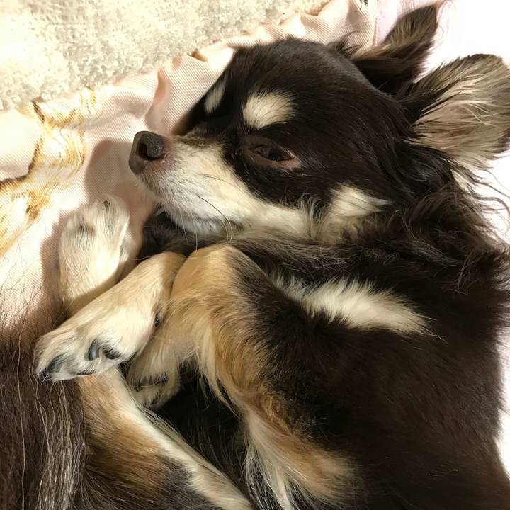 F0fefec8 f8fe 47f6 b247 50b2ac3e363b 1524397213045