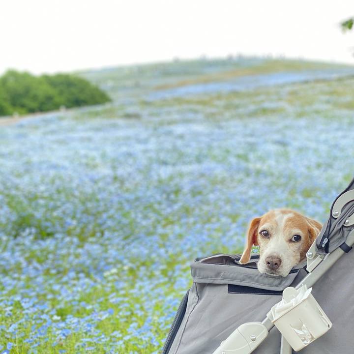 F0ff106c e26a 40db a6b9 0afca536cd1c 1620445164630