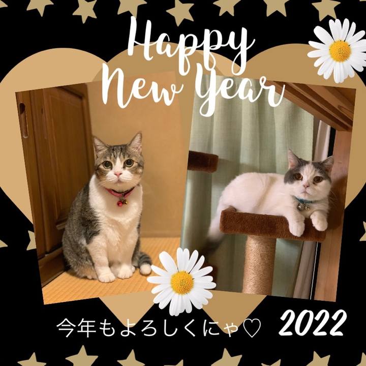 F0ff3613 6cd0 4324 b39c 570e46359950 1641004698027